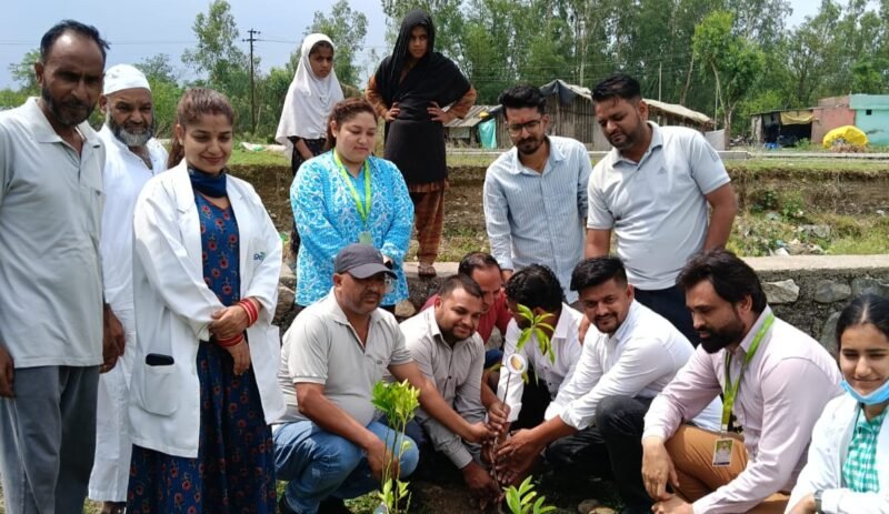 सहसपुर में विश्व पर्यावरण दिवस पर हुआ वृक्षारोपण, छायादार और फलदार पौधे रोपे गए